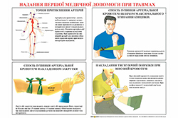Плакаты для автошкол