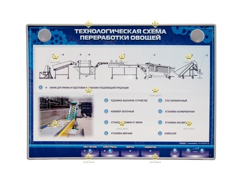 ТЕХНОЛОГІЧНА СХЕМА ПЕРЕРОБКИ ОВОЧІВ