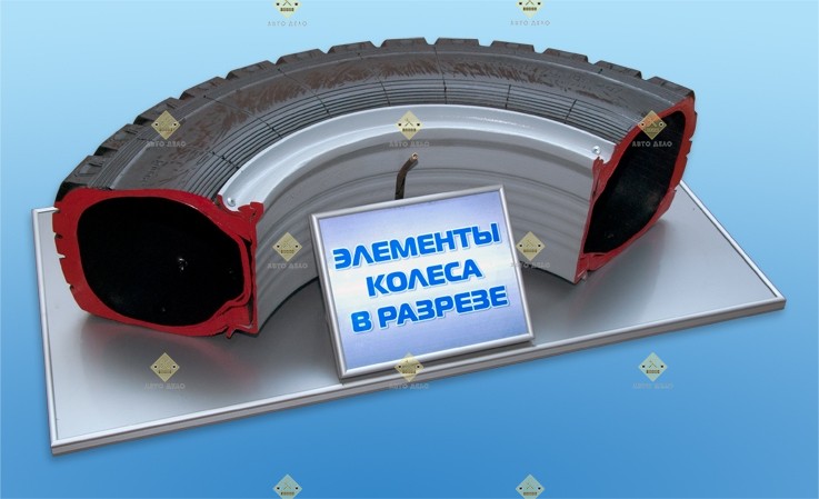 ЕЛЕМЕНТЫ КОЛЕСА В РАЗРЕЗЕ (КАТЕГОРІЯ С)